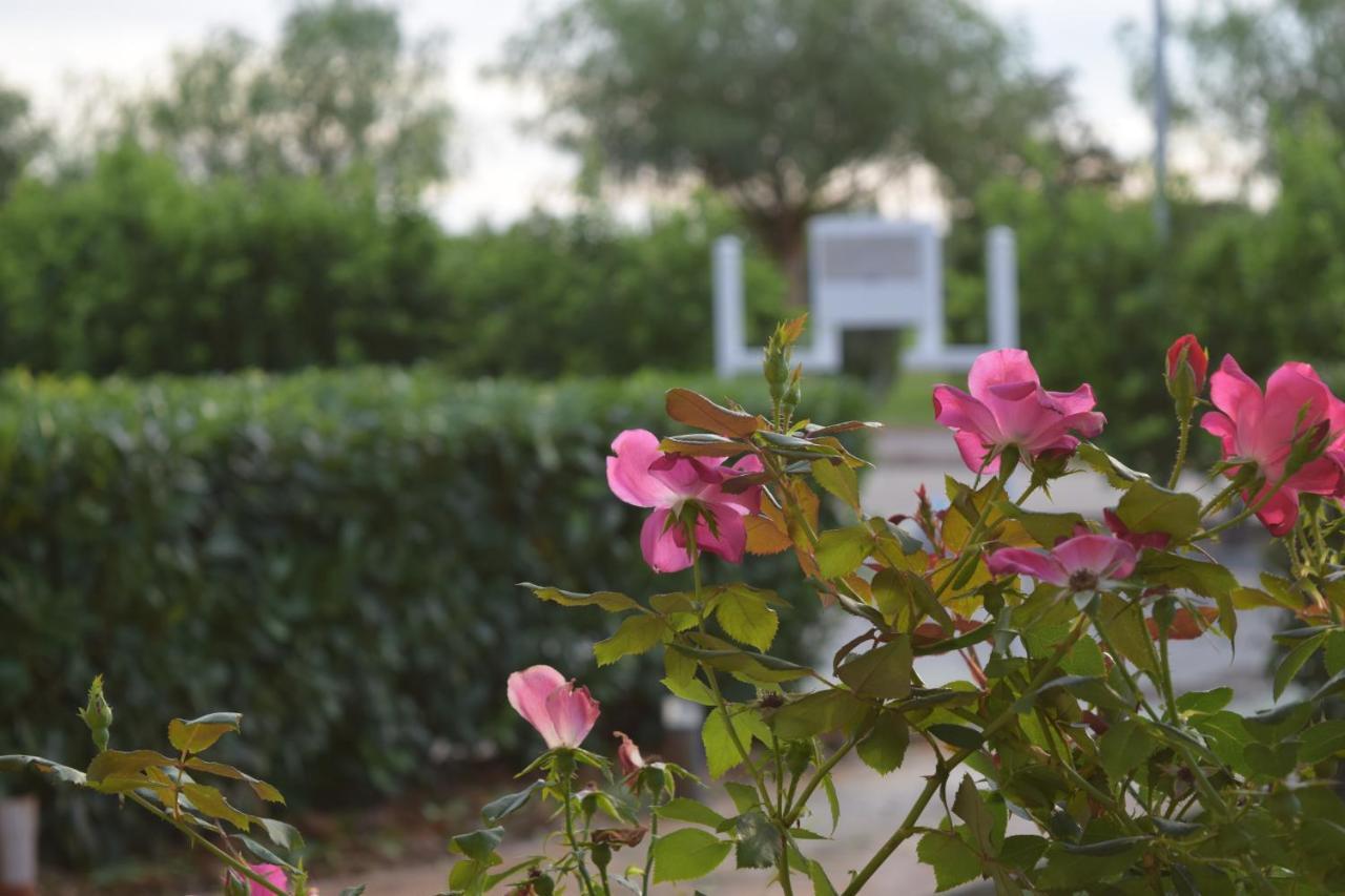 Agri-resort Luxury Farm * Marigliano